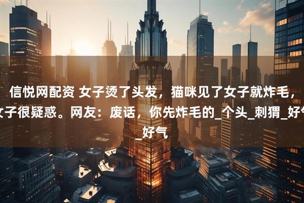 信悦网配资 女子烫了头发，猫咪见了女子就炸毛，女子很疑惑。网友：废话，你先炸毛的_个头_刺猬_好气