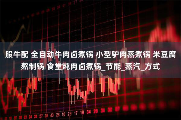 股牛配 全自动牛肉卤煮锅 小型驴肉蒸煮锅 米豆腐熬制锅 食堂炖肉卤煮锅_节能_蒸汽_方式